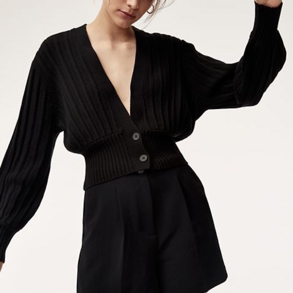 Aritzia Sweaters - Aritzia Wilfred plunge front cardigan